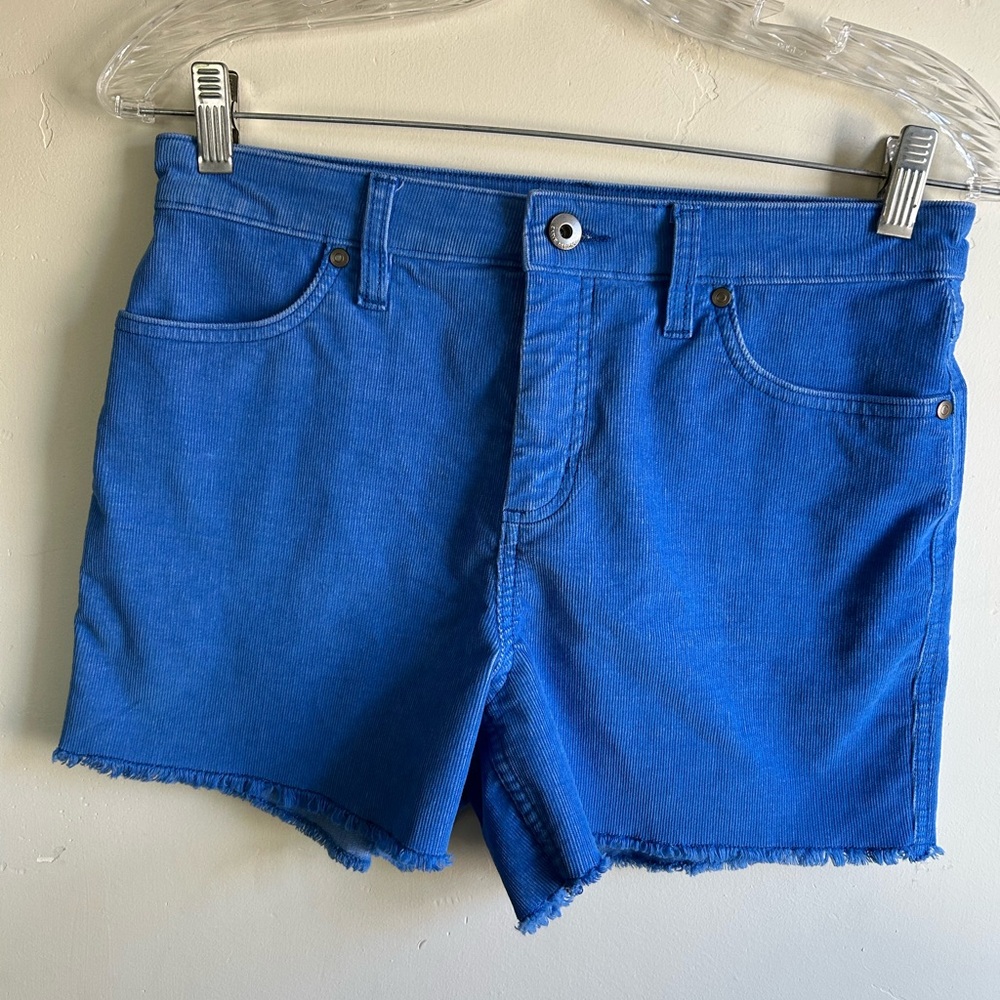 Carve Designs Electric Blue Denim Cutoff Shorts